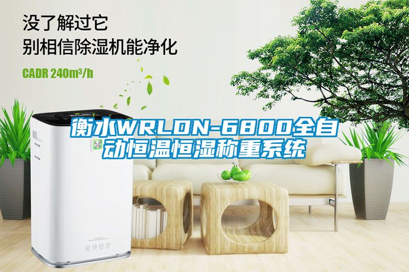 衡水WRLDN-6800全自動恒溫恒濕稱重系統(tǒng)