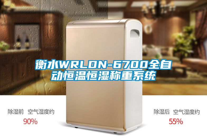 衡水WRLDN-6700全自動恒溫恒濕稱重系統(tǒng)