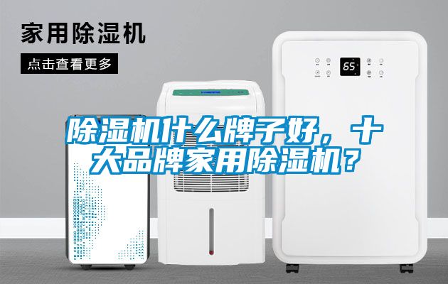 除濕機(jī)什么牌子好，十大品牌家用除濕機(jī)？