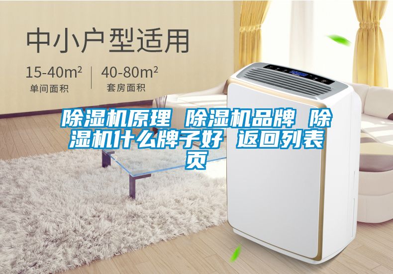 除濕機(jī)原理 除濕機(jī)品牌 除濕機(jī)什么牌子好 返回列表頁