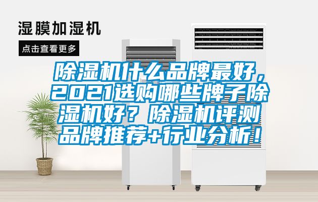 除濕機(jī)什么品牌最好，2021選購哪些牌子除濕機(jī)好？除濕機(jī)評測品牌推薦+行業(yè)分析！