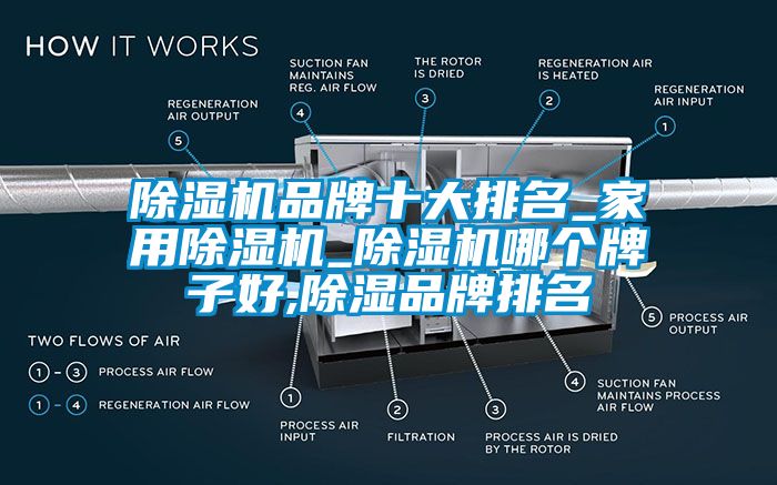 除濕機(jī)品牌十大排名_家用除濕機(jī)_除濕機(jī)哪個(gè)牌子好,除濕品牌排名