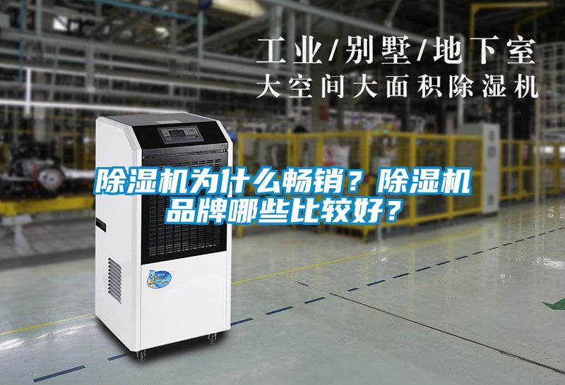 除濕機為什么暢銷？除濕機品牌哪些比較好？