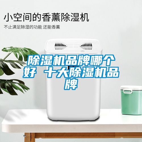 除濕機(jī)品牌哪個(gè)好 十大除濕機(jī)品牌