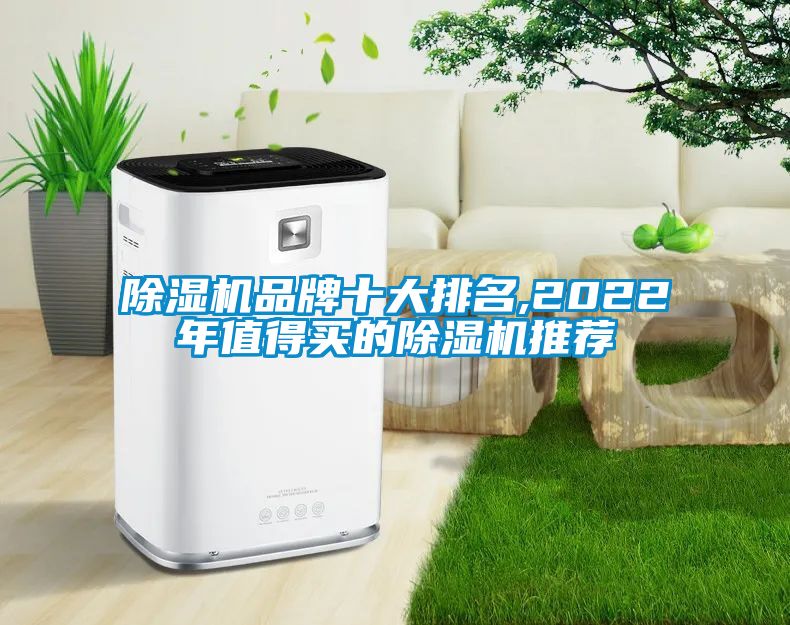 除濕機(jī)品牌十大排名,2022年值得買的除濕機(jī)推薦