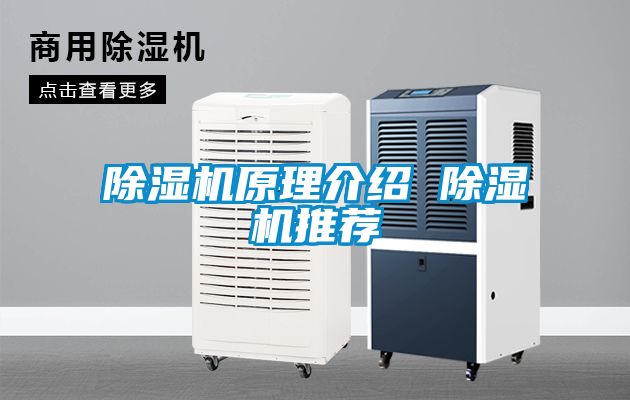 除濕機原理介紹 除濕機推薦