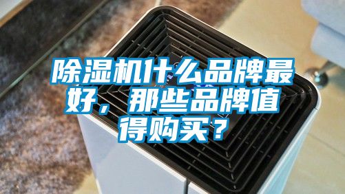 除濕機(jī)什么品牌最好，那些品牌值得購買？