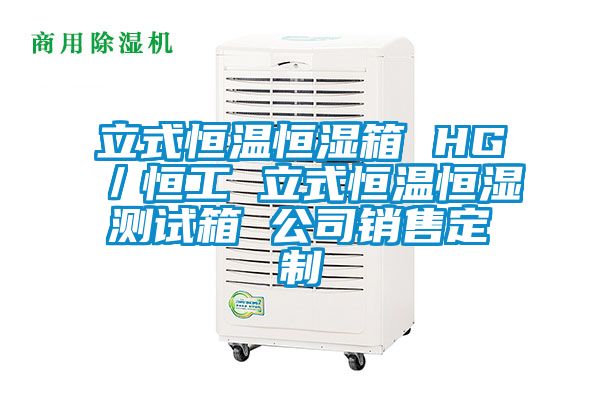 立式恒溫恒濕箱 HG／恒工 立式恒溫恒濕測試箱 公司銷售定制