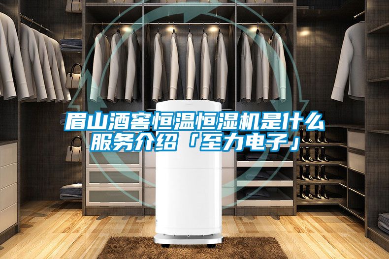 眉山酒窖恒溫恒濕機是什么服務(wù)介紹「至力電子」