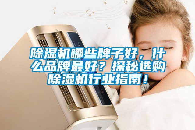 除濕機哪些牌子好，什么品牌最好？探秘選購除濕機行業(yè)指南！