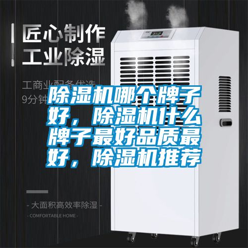 除濕機(jī)哪個(gè)牌子好，除濕機(jī)什么牌子最好品質(zhì)最好，除濕機(jī)推薦