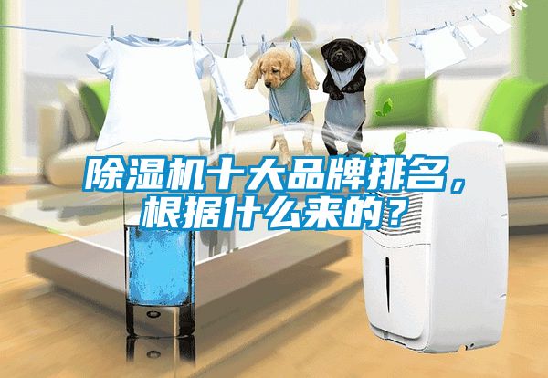 除濕機十大品牌排名，根據(jù)什么來的？