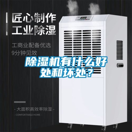 除濕機有什么好處和壞處？