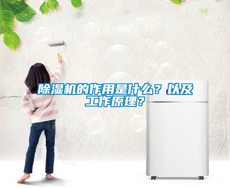 除濕機的作用是什么？以及工作原理？