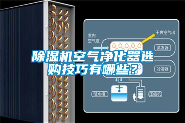 除濕機(jī)空氣凈化器選購技巧有哪些？