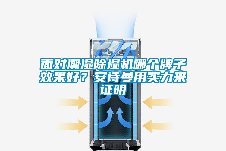 面對潮濕除濕機(jī)哪個牌子效果好？安詩曼用實力來證明