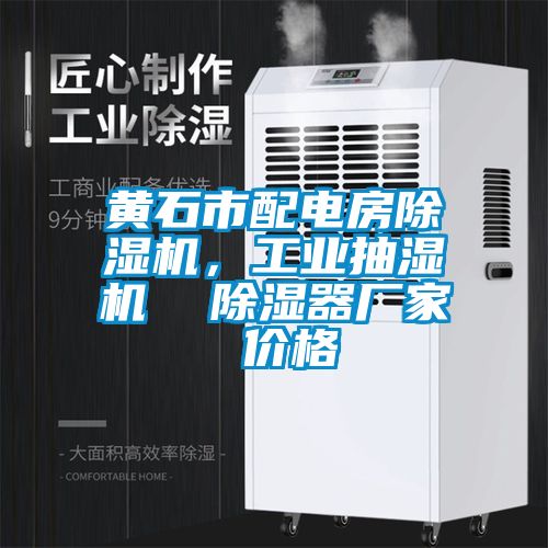 黃石市配電房除濕機(jī)，工業(yè)抽濕機(jī)  除濕器廠家 價格