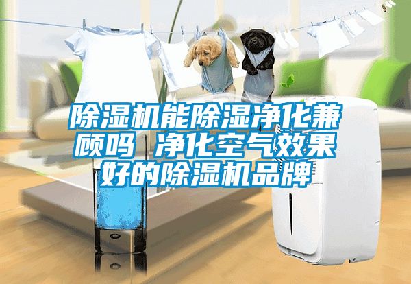 除濕機能除濕凈化兼顧嗎 凈化空氣效果好的除濕機品牌