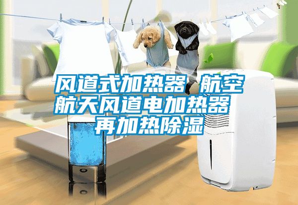 風(fēng)道式加熱器 航空航天風(fēng)道電加熱器 再加熱除濕