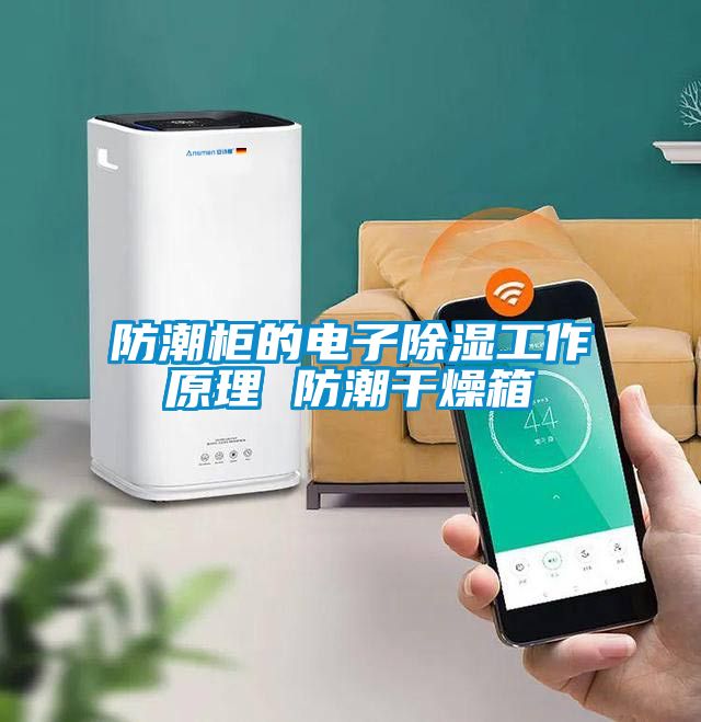 防潮柜的電子除濕工作原理 防潮干燥箱