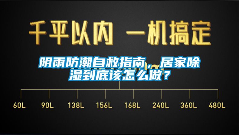 陰雨防潮自救指南，居家除濕到底該怎么做？