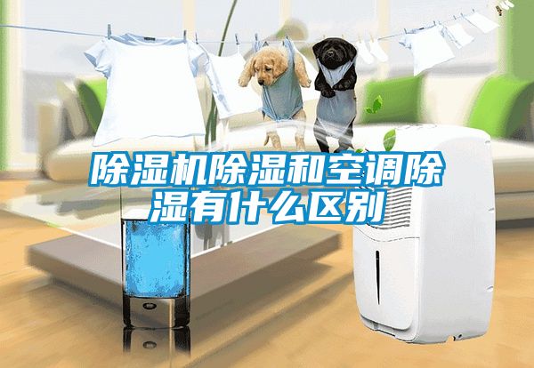 除濕機除濕和空調(diào)除濕有什么區(qū)別