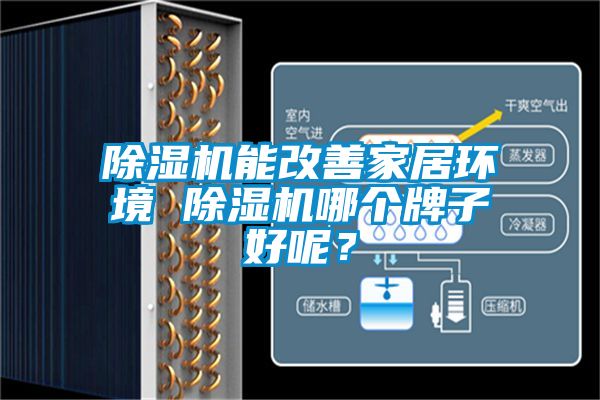 除濕機能改善家居環(huán)境 除濕機哪個牌子好呢？