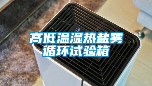 高低溫濕熱鹽霧循環(huán)試驗(yàn)箱