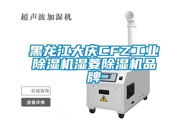 黑龍江大慶CFZ工業(yè)除濕機濕菱除濕機品牌